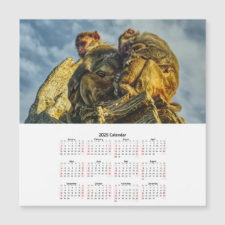 Family of monkeys Magnetic Card calendar