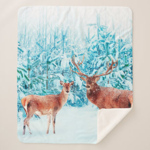 Family of noble deer in a snowy winter. Christmas  Sherpa Blanket