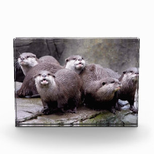 Family of Otters Photo Block