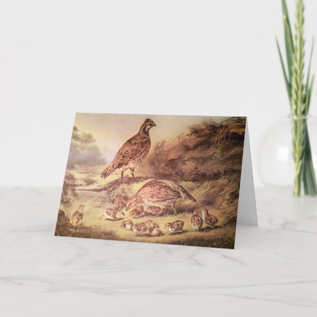 Family of Quail Greeting Card (Front)