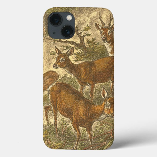 Family of Roe - Deers in a Forest Case-Mate iPhone Case (Back)