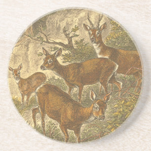 Family of Roe - Deers in a Forest Coaster