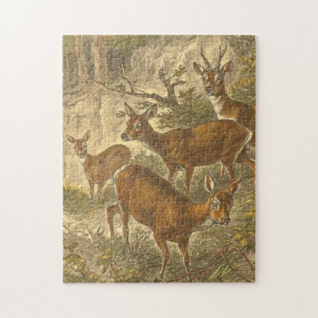 Family of Roe - Deers in a Forest Jigsaw Puzzle (Vertical)