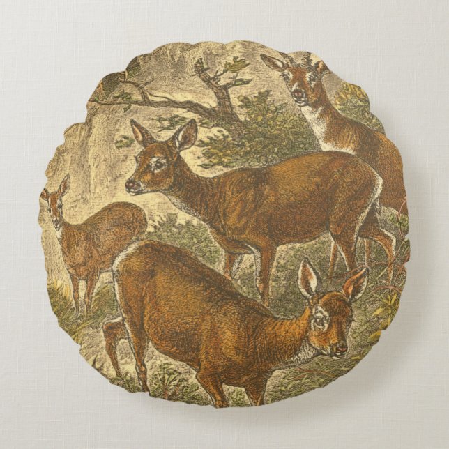 Family of Roe - Deers in a Forest Round Cushion (Front)