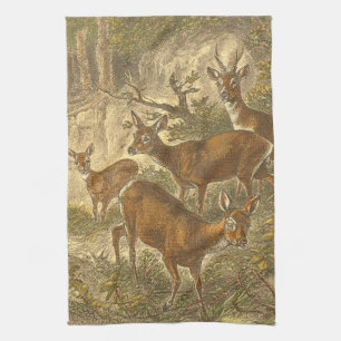 Family of Roe - Deers in a Forest Tea Towel