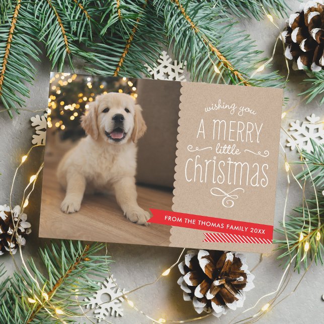 FAMILY PET modern fun whimsical typography rustic Holiday Card (Creator Uploaded)