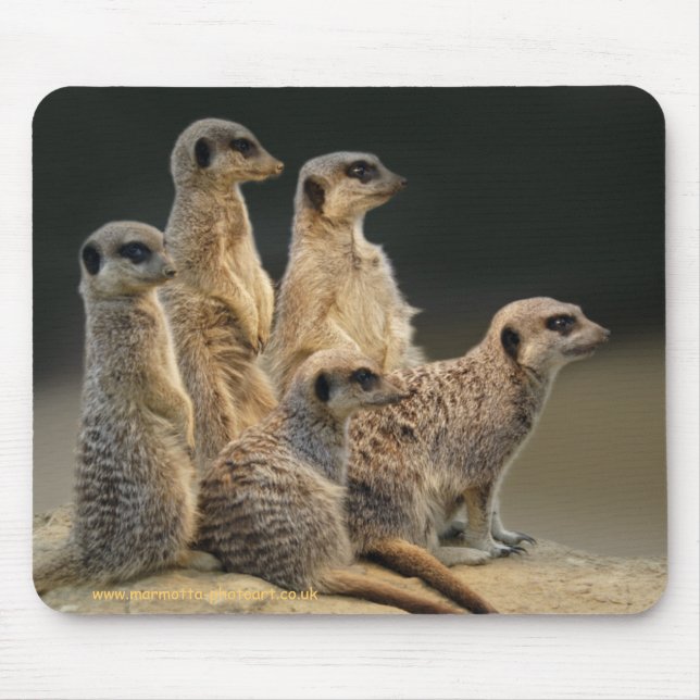 Family Portrait Mousemat (Front)
