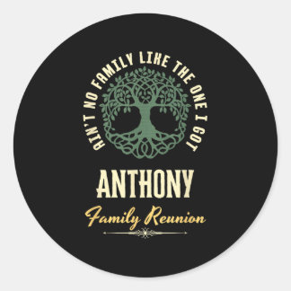 Family Reunion 2025 Matching Design - Anthony Classic Round Sticker