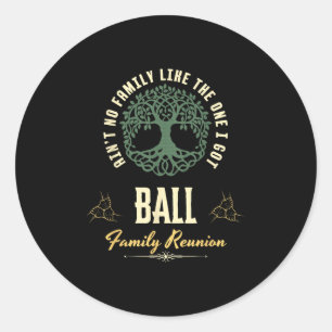 Family Reunion 2025 Matching Design - Ball  Classic Round Sticker