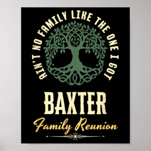 Family Reunion 2025 Matching Design - Baxter Poster