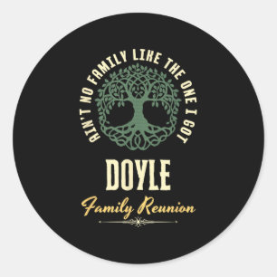 Family Reunion 2025 Matching Design - Doyle  Classic Round Sticker