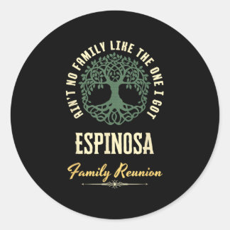 Family Reunion 2025 Matching Design - Espinosa  Classic Round Sticker