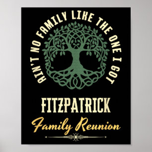 Family Reunion 2025 Matching Design - Fitzpatrick  Poster