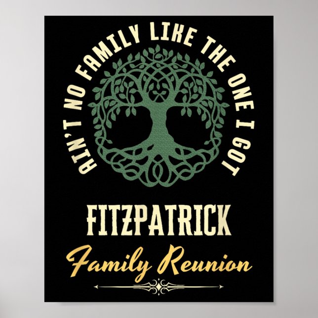Family Reunion 2025 Matching Design - Fitzpatrick  Poster (Front)