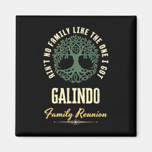 Family Reunion 2025 Matching Design - Galindo  Magnet