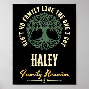 Family Reunion 2025 Matching Design - Haley Poster