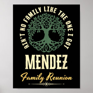 Family Reunion 2025 Matching Design - Mendez Poster
