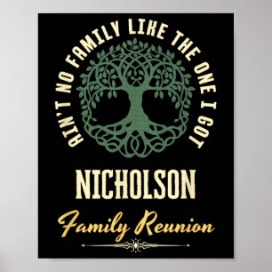 Family Reunion 2025 Matching Design - Nicholson Poster