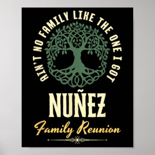 Family Reunion 2025 Matching Design - Nuñez  Poster