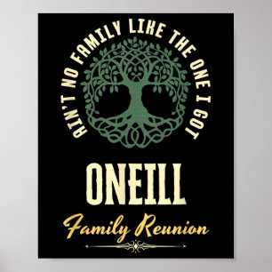 Family Reunion 2025 Matching Design - Oneill Poster