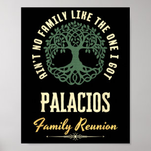 Family Reunion 2025 Matching Design - Palacios Poster
