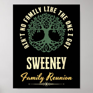 Family Reunion 2025 Matching Design - Sweeney Poster