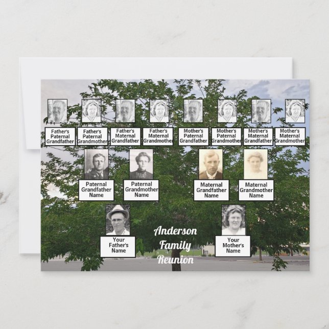 Family Reunion 3 Generation Summertime Tree Invitation (Front)