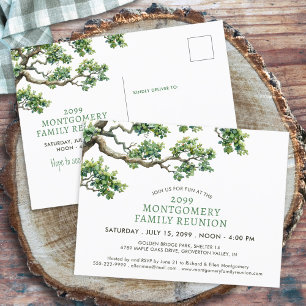 Family Reunion Family Tree Branch Postcard