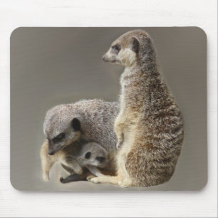 Family ties mouse pad