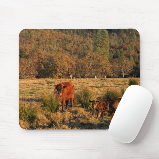 Family Time....... Mouse Pad (With Mouse)