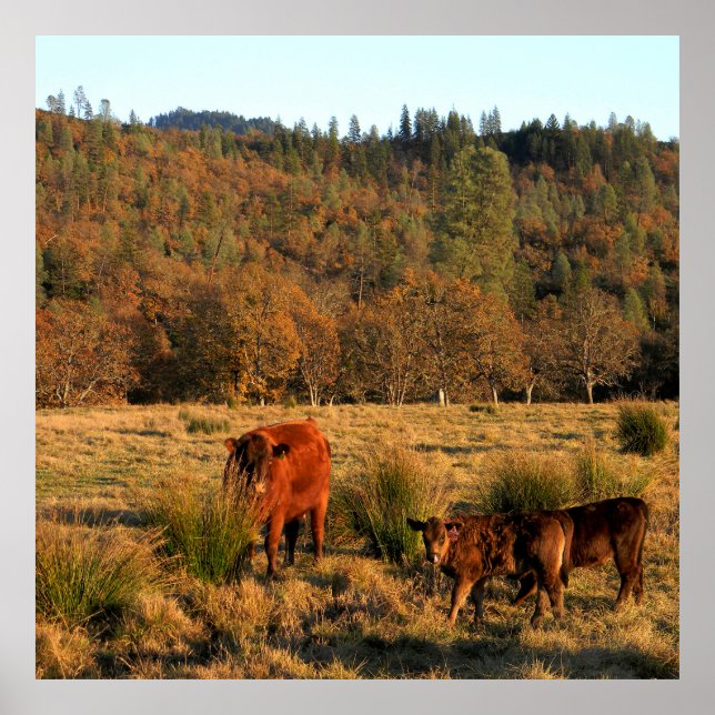 Family Time........ Poster (Front)