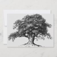 Family Tree Ancestry Reunion Party Grey