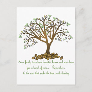 Family Tree Nuts Postcard