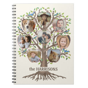 Sunbeams and Clouds Three Generation Family Tree Notebook