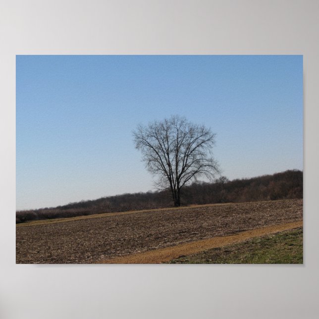 Family Tree Poster (Front)