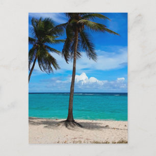 Family Trip Beach Vacation Guadeloupe Caribbean Postcard