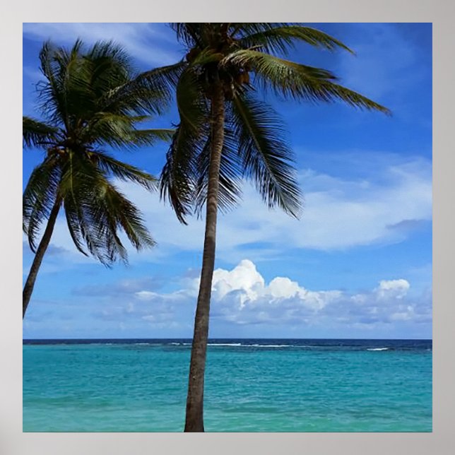 Family Trip Beach Vacation Guadeloupe Caribbean Poster (Front)