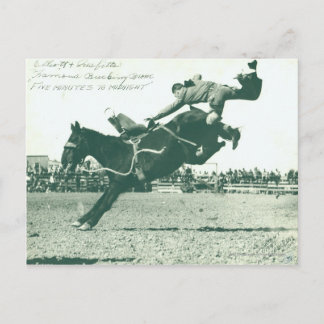 Famous Bucking Bronc Five Minutes Postcard
