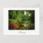 Famous Claude Monet Giverny Pond Lilies Postcard<br><div class="desc">Famous Claude Monet Giverny,  France Pond with Lilies Canvas Stylised Photo Postcard to add to your travel memorabilia collection. A cool gift / present idea for all who love custom design personalised items,  positive vibes,  architecture,  travelling,  all things French,  magic landscapes,  nature,  flowers,  romance,  art,  paintings etc.</div>