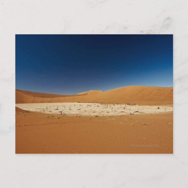 famous Deadvlei with dead trees, desert Postcard (Front)