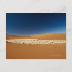 famous Deadvlei with dead trees, desert Postcard