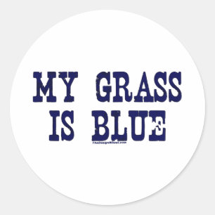 Famous My Grass Is Blue Classic Round Sticker