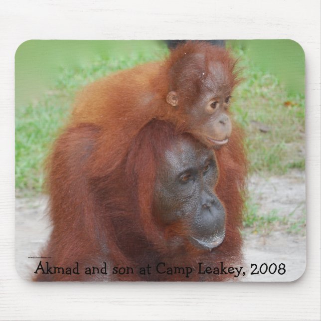 Famous Orangutan Mother Mouse Pad (Front)