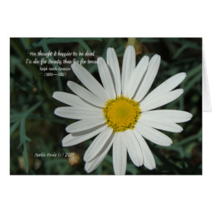 Famous Words: Beauty - White Daisy Card Series (8)