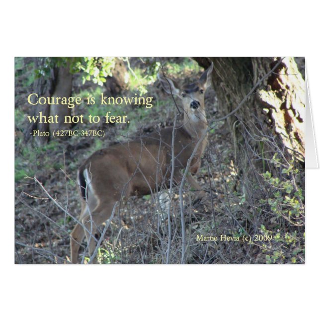 Famous Words: Courage - Deer Greeting Card (Front Horizontal)