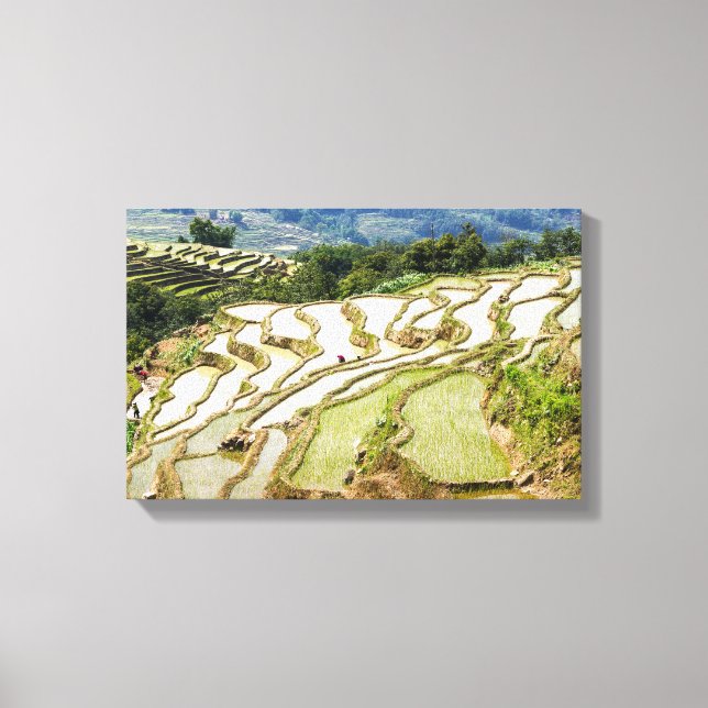Famous yuanyang Rice Terraces - Yunnan, China Canvas Print (Front)