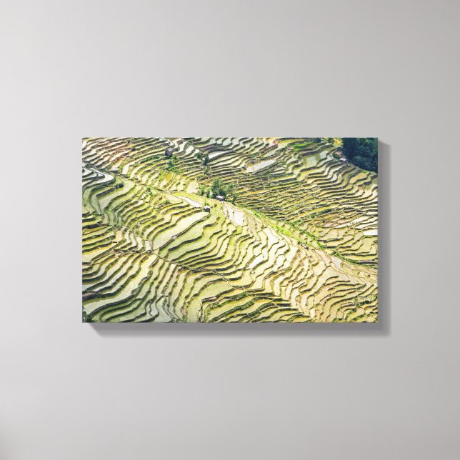 Famous yuanyang Rice Terraces - Yunnan, China Canvas Print (Front)