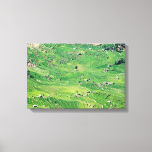 Famous yuanyang Rice Terraces - Yunnan, China Canvas Print