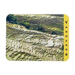 Famous yuanyang Rice Terraces - Yunnan, China Magnet