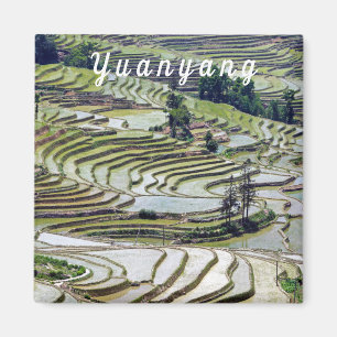 Famous yuanyang Rice Terraces - Yunnan, China Magnet